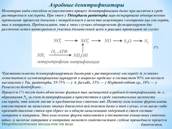 Микробиологические методы очистки воды Аэробные денитрификаторы Некоторые виды способны осуществлять процесс