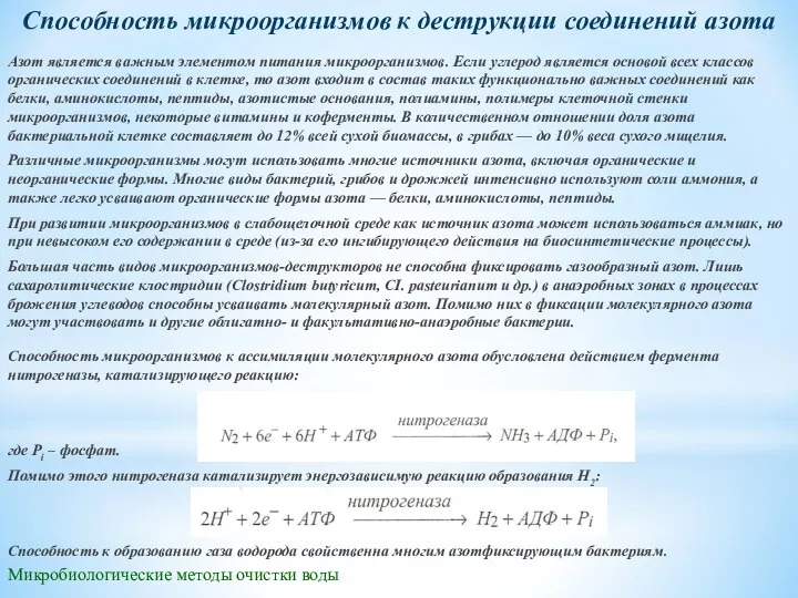 Микробиологические методы очистки воды Способность микроорганизмов к деструкции соединений азота Азот