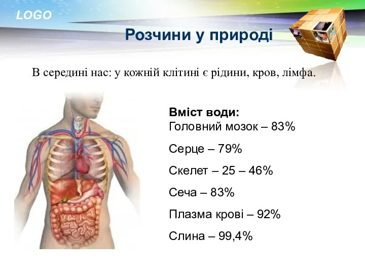 Розчини у природі В середині нас: у кожній клітині є рідини,