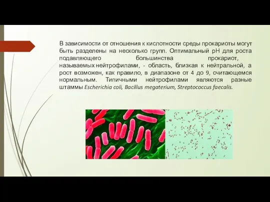 В зависимости от отношения к кислотности среды прокариоты могут быть разделены