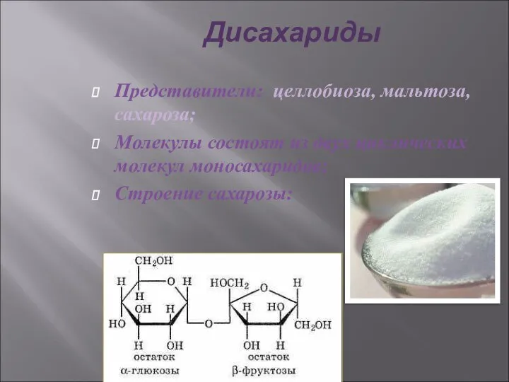 Дисахариды Представители: целлобиоза, мальтоза, сахароза; Молекулы состоят из двух циклических молекул моносахаридов; Строение сахарозы: