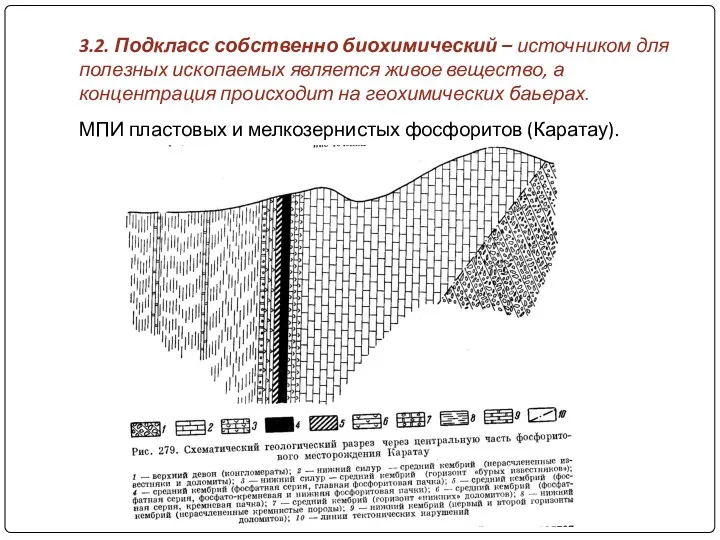 3.2. Подкласс собственно биохимический – источником для полезных ископаемых является живое