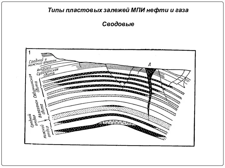 Типы пластовых залежей МПИ нефти и газа Сводовые