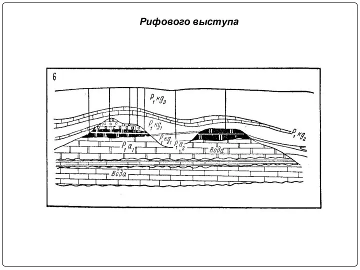 Рифового выступа