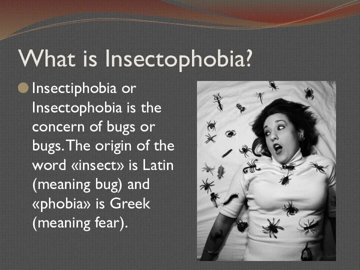 What is Insectophobia? Insectiphobia or Insectophobia is the concern of bugs