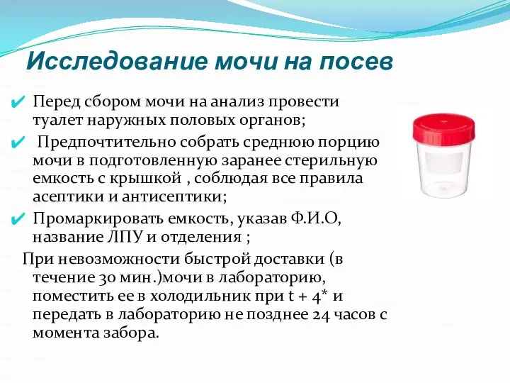 Исследование мочи на посев Перед сбором мочи на анализ провести туалет