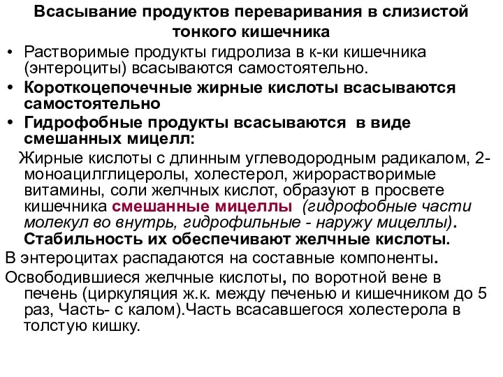 Всасывание продуктов переваривания в слизистой тонкого кишечника Растворимые продукты гидролиза в