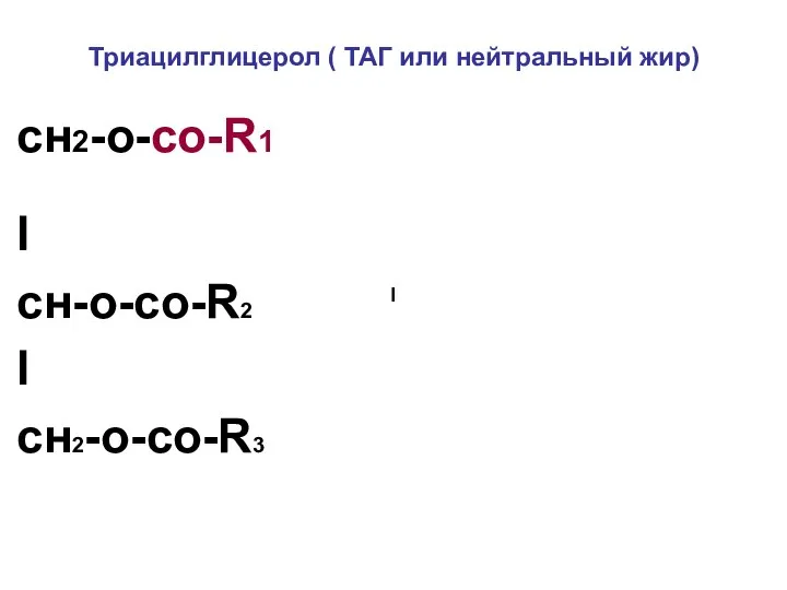 Триацилглицерол ( ТАГ или нейтральный жир) сн2-о-со-R1 I cн-о-со-R2 I cн2-о-со-R3 I