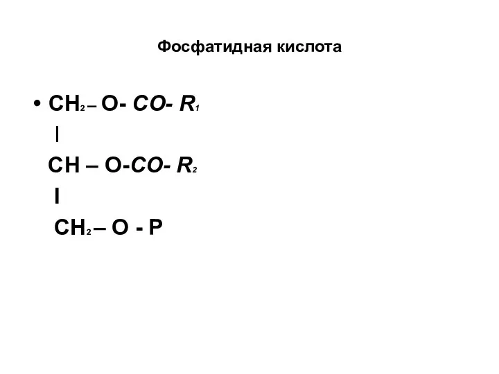 Фосфатидная кислота СН2 – О- СО- R1 I СН – О-СО-