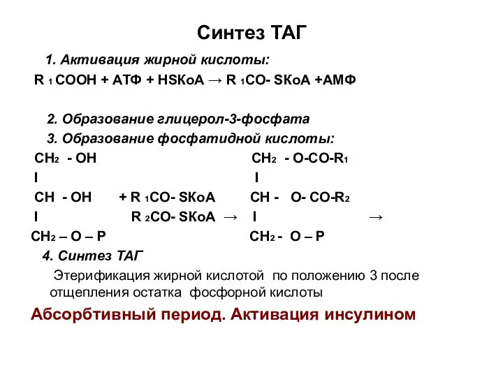 Синтез ТАГ 1. Активация жирной кислоты: R 1 СООН + АТФ