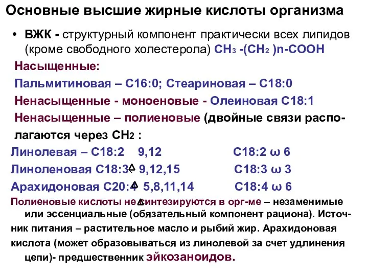 Основные высшие жирные кислоты организма ВЖК - структурный компонент практически всех