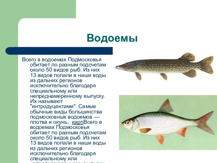 Водоемы Всего в водоемах Подмосковья обитает по разным подсчетам около 50