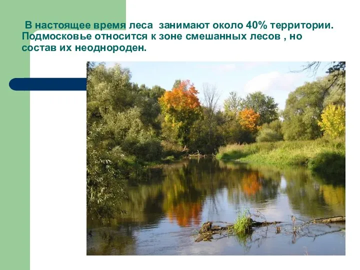 В настоящее время леса занимают около 40% территории. Подмосковье относится к