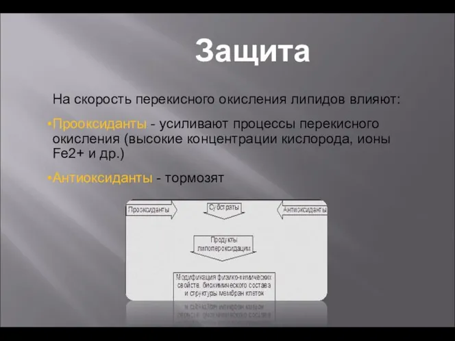 На скорость перекисного окисления липидов влияют: Прооксиданты - усиливают процессы перекисного