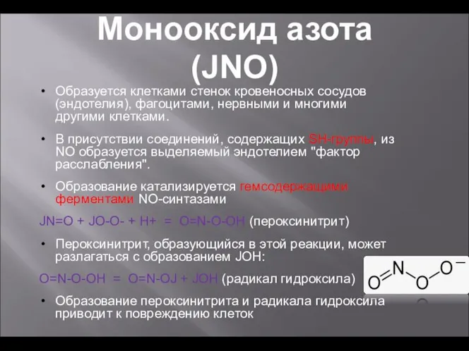 Образуется клетками стенок кровеносных сосудов (эндотелия), фагоцитами, нервными и многими другими