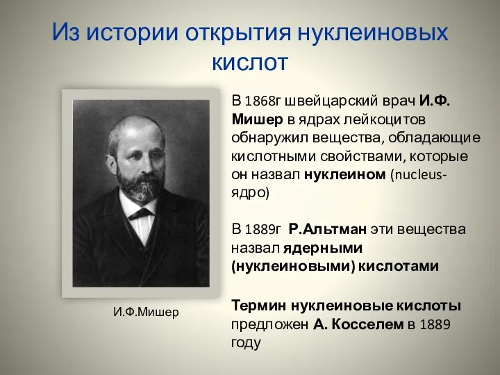 Из истории открытия нуклеиновых кислот В 1868г швейцарский врач И.Ф.Мишер в