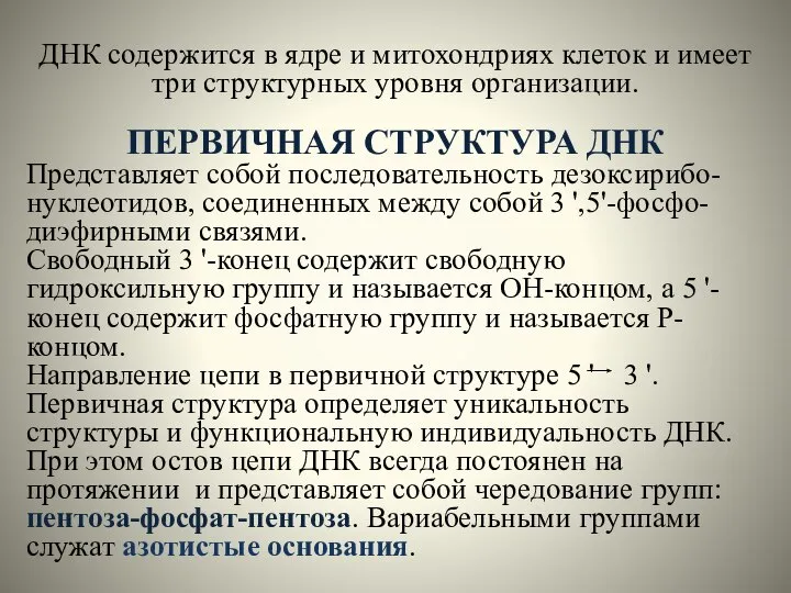 ДНК содержится в ядре и митохондриях клеток и имеет три структурных