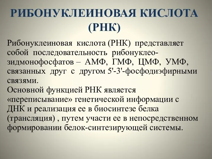 РИБОНУКЛЕИНОВАЯ КИСЛОТА (РНК) Рибонуклеиновая кислота (РНК) представляет собой последовательность рибонуклео-зидмонофосфатов –