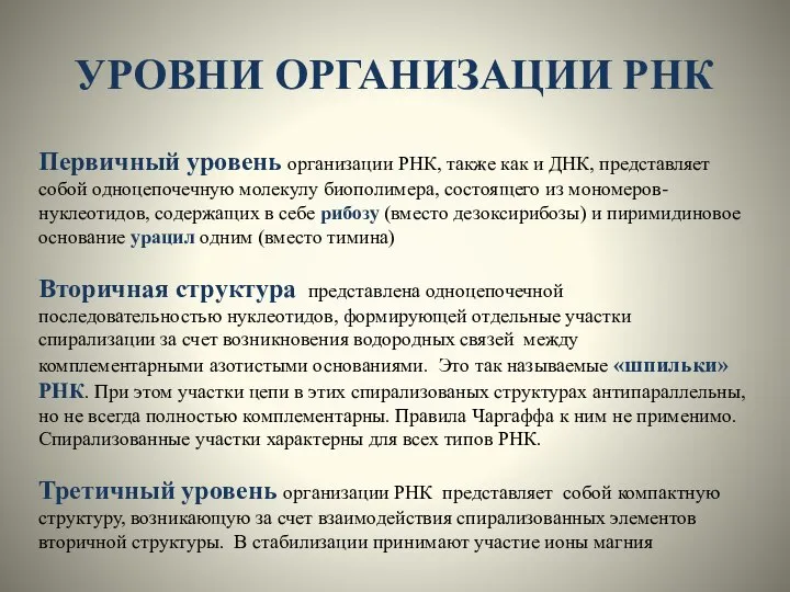 УРОВНИ ОРГАНИЗАЦИИ РНК Первичный уровень организации РНК, также как и ДНК,