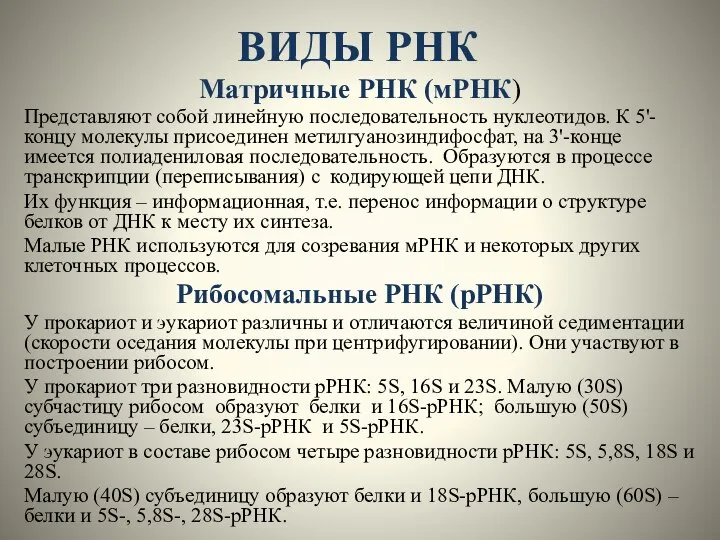 ВИДЫ РНК Матричные РНК (мРНК) Представляют собой линейную последовательность нуклеотидов. К