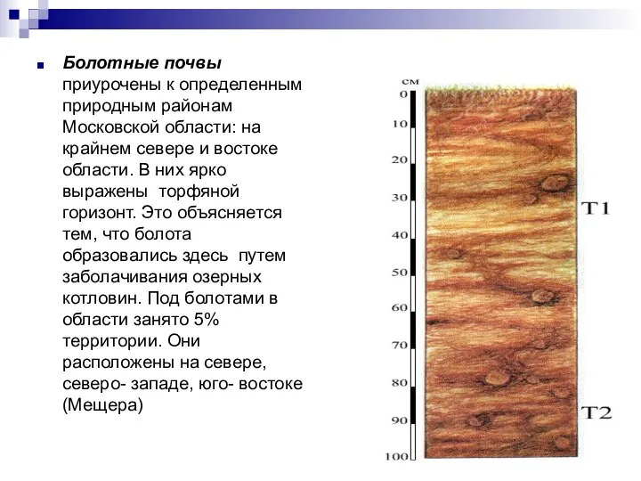 Болотные почвы приурочены к определенным природным районам Московской области: на крайнем