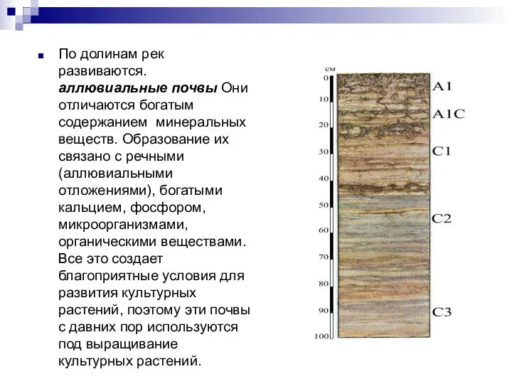 По долинам рек развиваются. аллювиальные почвы Они отличаются богатым содержанием минеральных