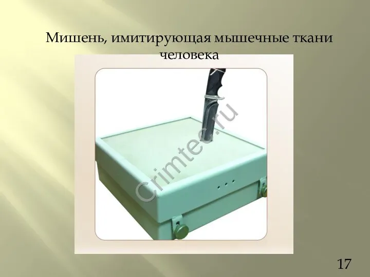 Мишень, имитирующая мышечные ткани человека