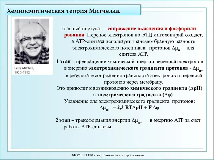 Хемиосмотическая теория Митчелла. ФГОУ ВПО ЮФУ каф. биохимии и микробиологии Главный