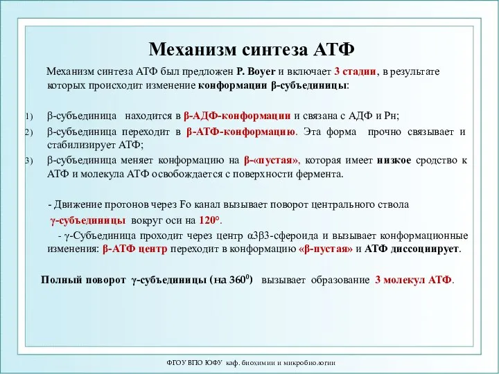 Механизм синтеза АТФ Механизм синтеза АТФ был предложен P. Boyer и