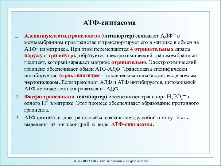 АТФ-синтасома Адениннуклеотидтранслоказа (антипортер) связывает АДФ3- в межмембранном пространстве и транспортирует его