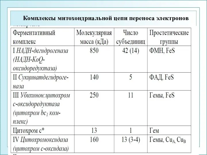 Комплексы митохондриальной цепи переноса электронов ФГОУ ВПО ЮФУ каф. биохимии и микробиологии