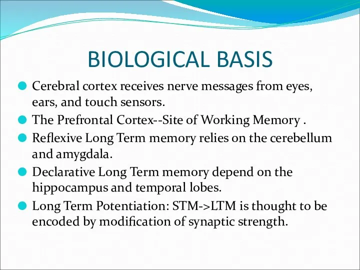BIOLOGICAL BASIS Cerebral cortex receives nerve messages from eyes, ears, and