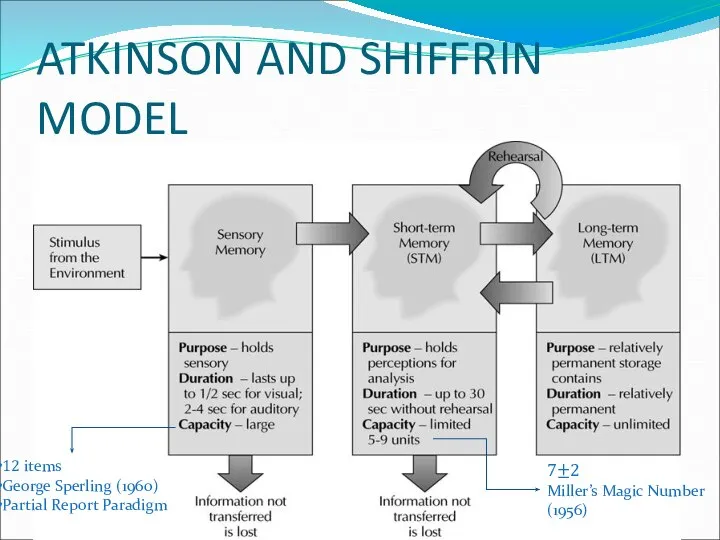 ATKINSON AND SHIFFRIN MODEL 12 items George Sperling (1960) Partial Report