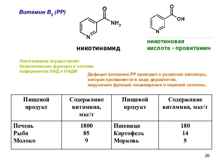 Витамин В5 (РР) Никотинамид осуществляет биологические функции в составе коферментов НАД