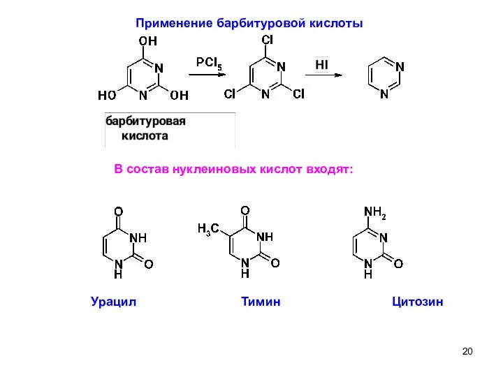 6 Применение барбитуровой кислоты В состав нуклеиновых кислот входят: Урацил Тимин Цитозин