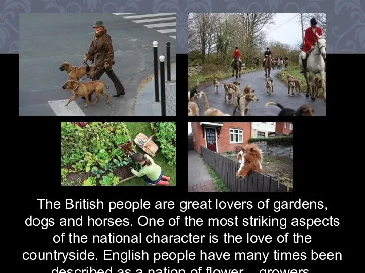 The British people are great lovers of gardens, dogs and horses.