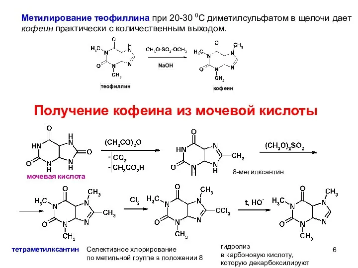 мочевая кислота Получение кофеина из мочевой кислоты 8-метилксантин тетраметилксантин Селективное хлорирование