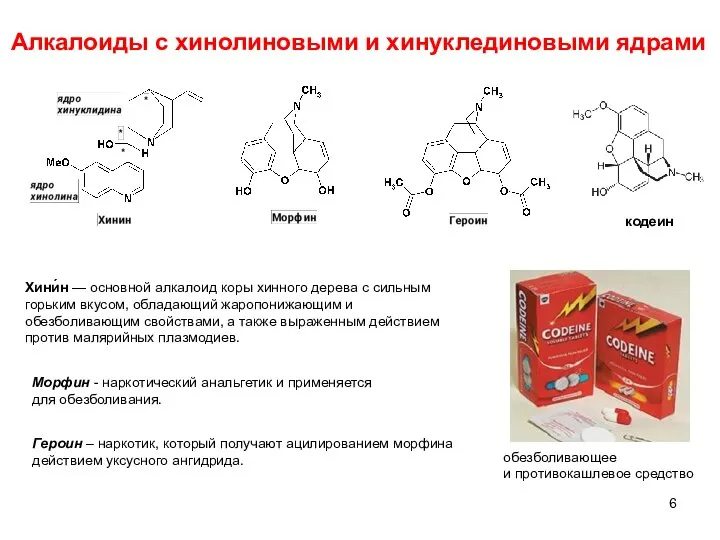 Алкалоиды с хинолиновыми и хинуклединовыми ядрами кодеин обезболивающее и противокашлевое средство