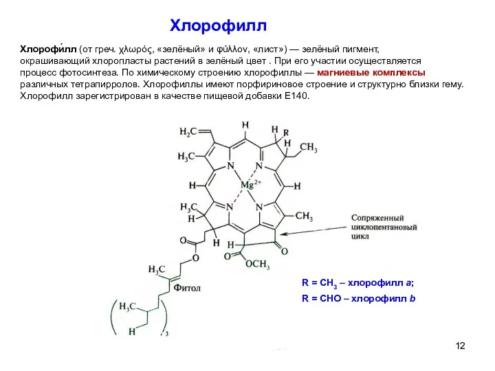 Хлорофилл R = CH3 – хлорофилл a; R = CHO –