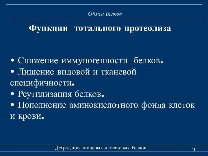 Обмен белков Деградация пищевых и тканевых белков Функции тотального протеолиза •