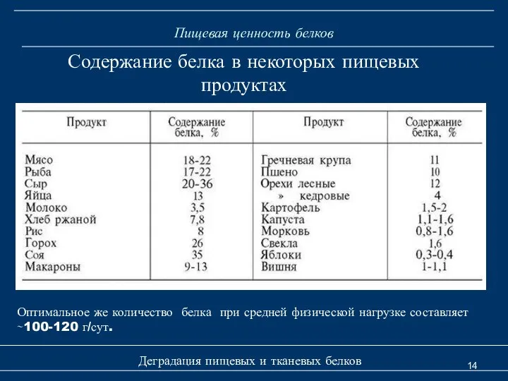 Пищевая ценность белков Деградация пищевых и тканевых белков Содержание белка в