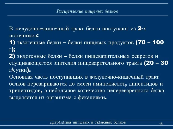 Расщепление пищевых белков Деградация пищевых и тканевых белков В желудочно-кишечный тракт