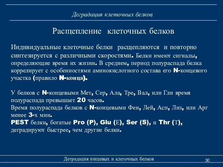 Деградация клеточных белков Деградация пищевых и клеточных белков Расщепление клеточных белков