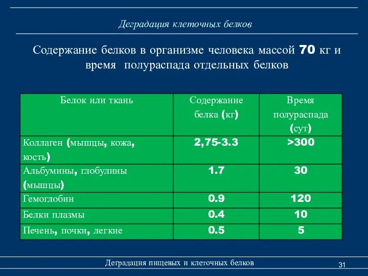 Деградация клеточных белков Деградация пищевых и клеточных белков Содержание белков в