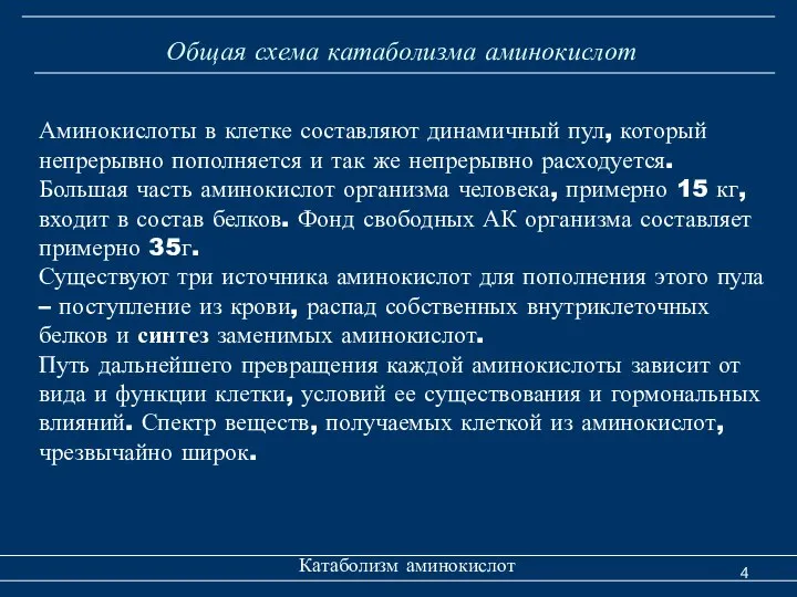 Общая схема катаболизма аминокислот Катаболизм аминокислот Аминокислоты в клетке составляют динамичный