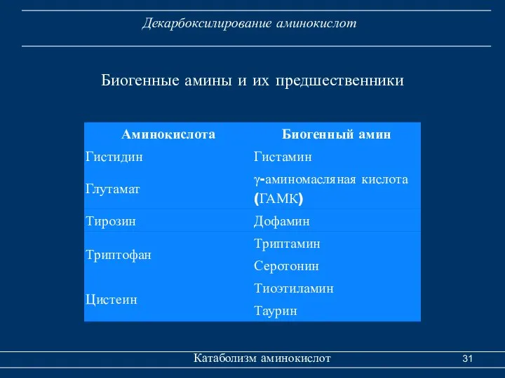 Катаболизм аминокислот Декарбоксилирование аминокислот Биогенные амины и их предшественники