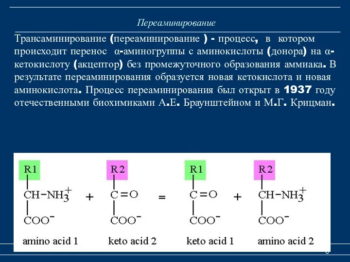 Переаминирование Катаболизм аминокислот Трансаминирование (переаминирование ) - процесс, в котором происходит