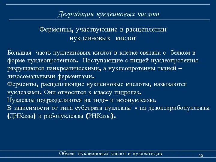 Деградация нуклеиновых кислот Обмен нуклеиновых кислот и нуклеотидов Ферменты, участвующие в