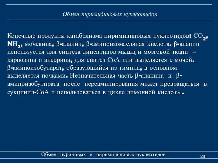 Обмен пиримидиновых нуклеотидов Обмен пуриновых и пиримидиновых нуклеотидов Конечные продукты катаболизма