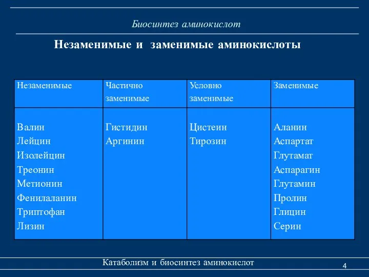 Биосинтез аминокислот Катаболизм и биосинтез аминокислот Незаменимые и заменимые аминокислоты